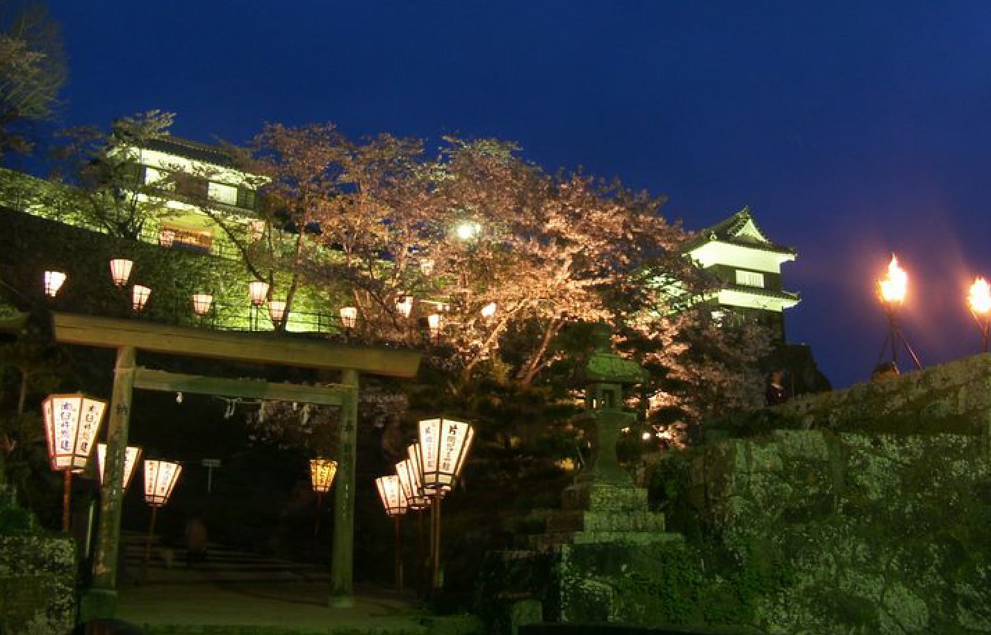 臼杵城跡（臼杵公園）